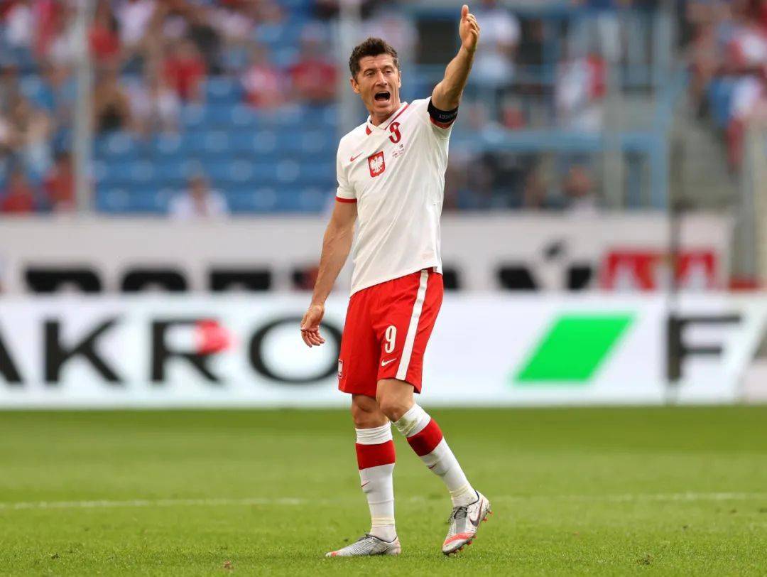 奥地利队横扫波兰队，波尔高光表现