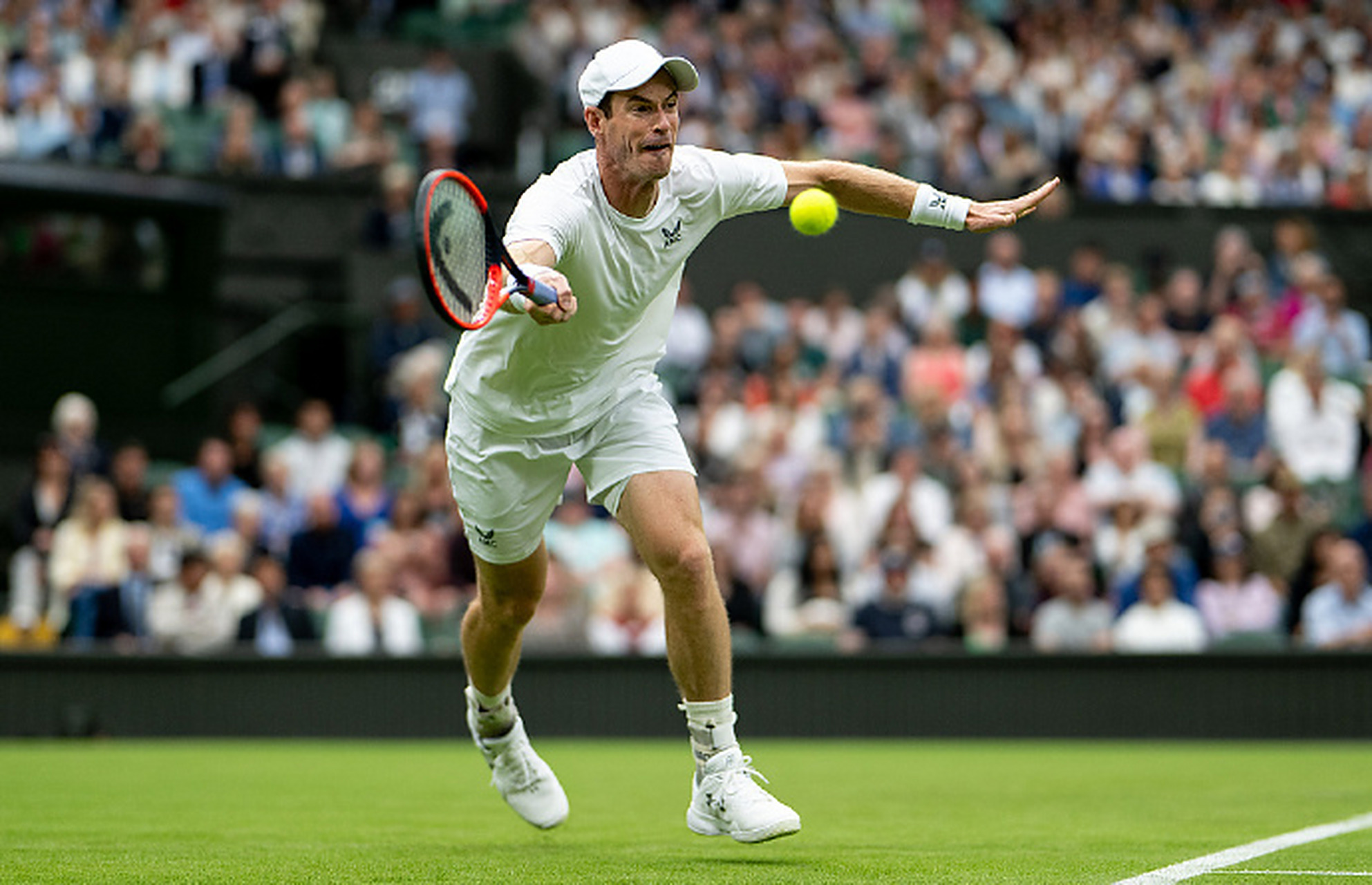 法网翻盘戴维斯杯，穆雷状态火热