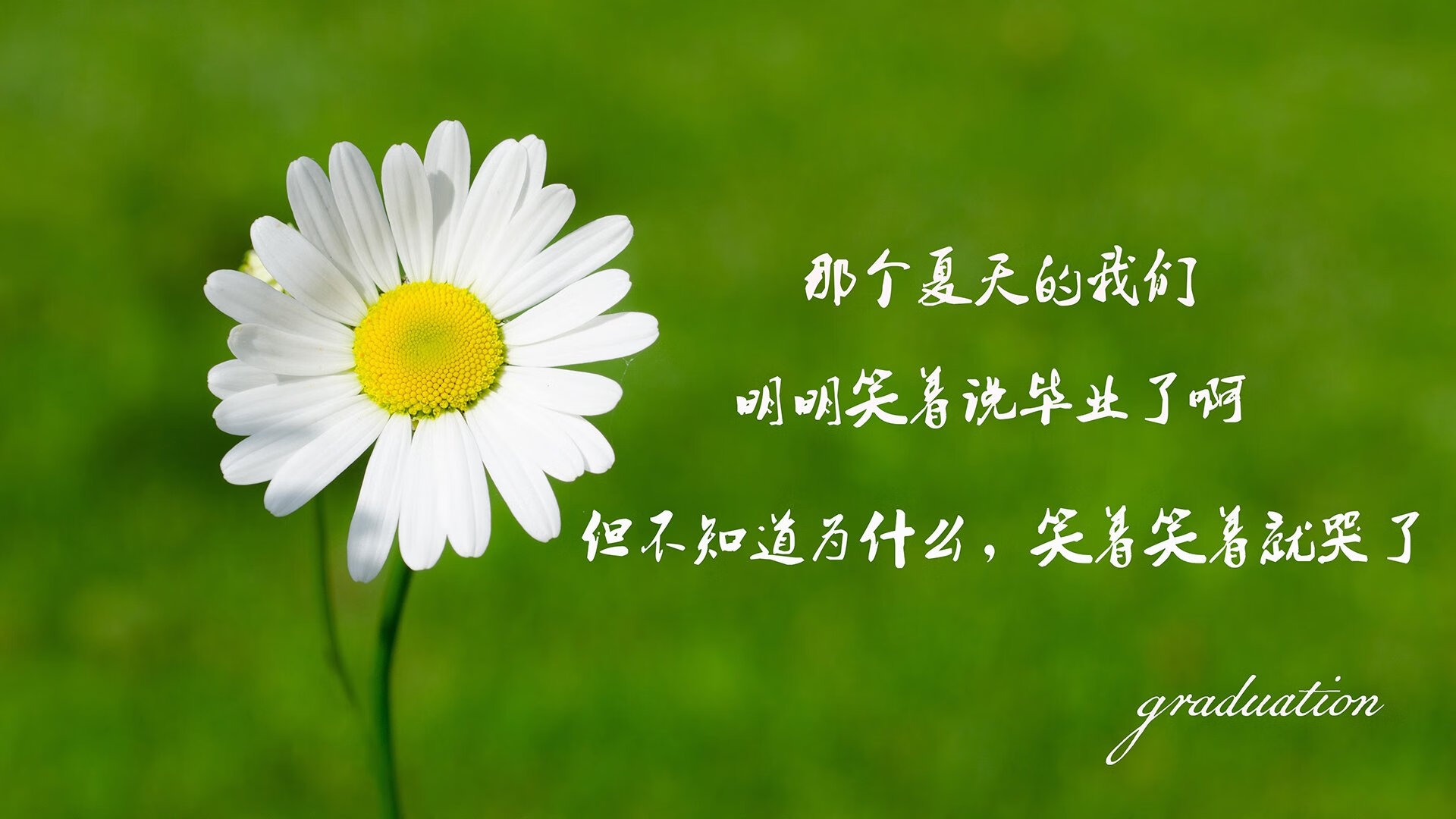 锁与钥匙,从雄鹿的铜墙铁壁,到伦纳德的致命接管