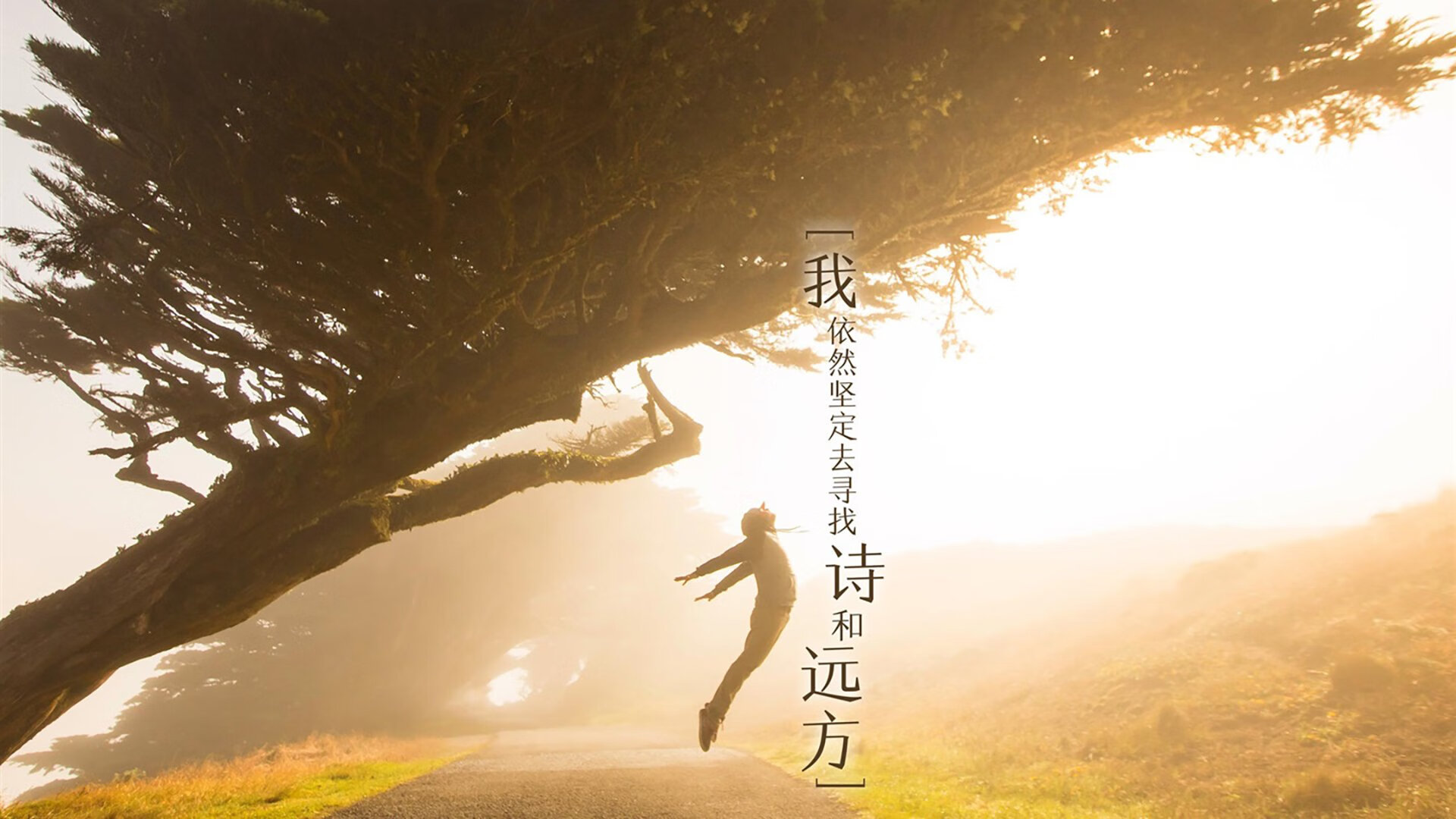 另类欧冠淘汰赛之夜，当西亚卡姆在关键时刻站出来