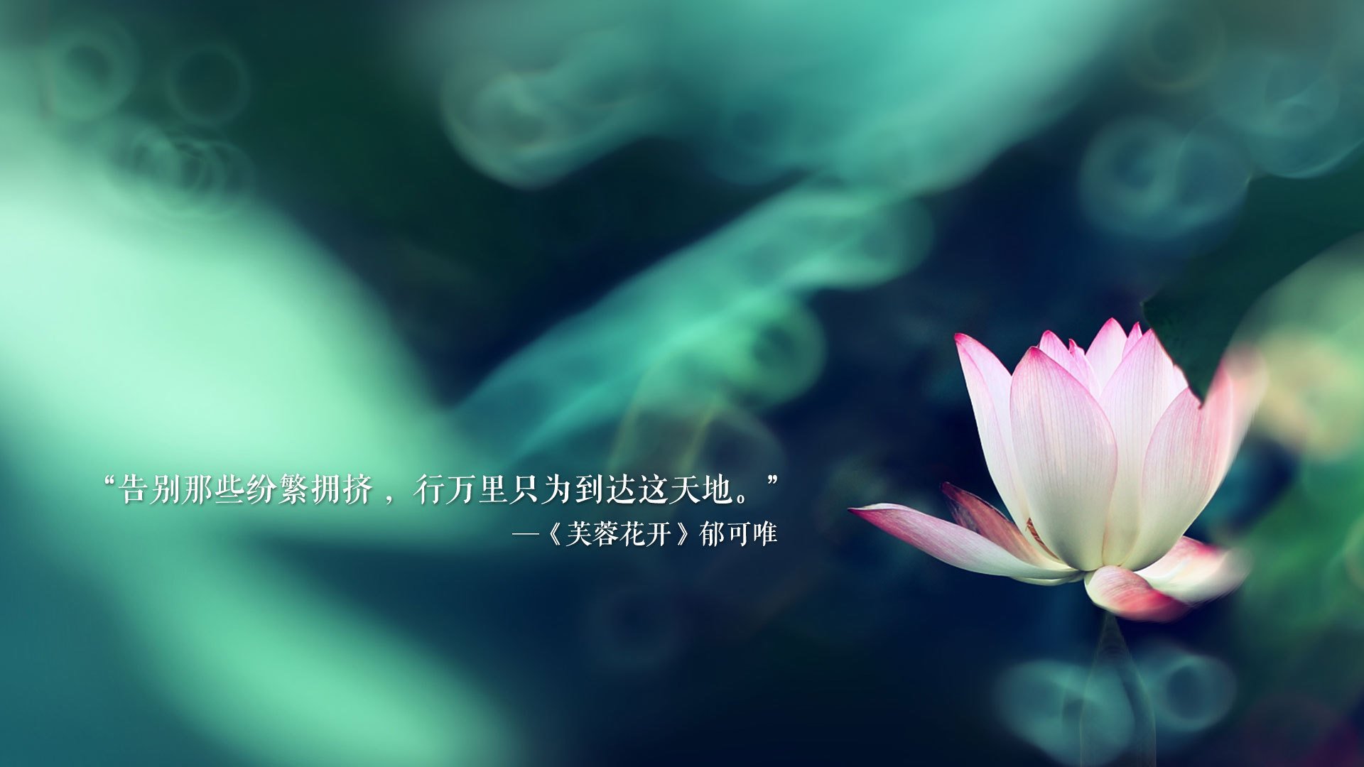 岔路口上的22届双星，当班凯罗的缓慢照亮莫兰特的飞速