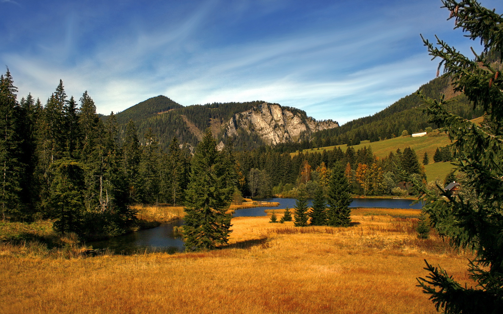 正名之战与体系牢笼，德罗赞用实力撕裂太阳的防守压制猛龙之夜
