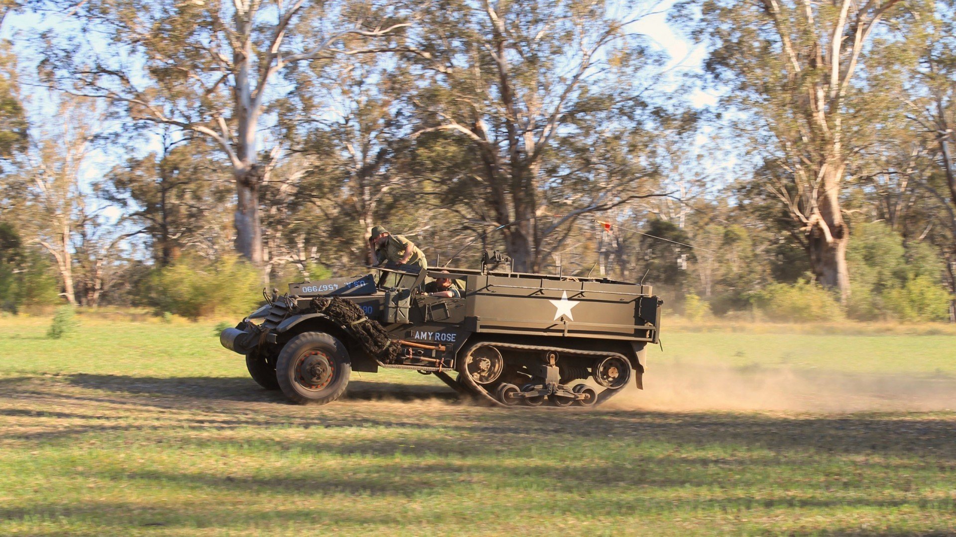 北境狼烟起，全球烽火燃 当美加墨世界杯序幕拉开，森林狼已昂首西决