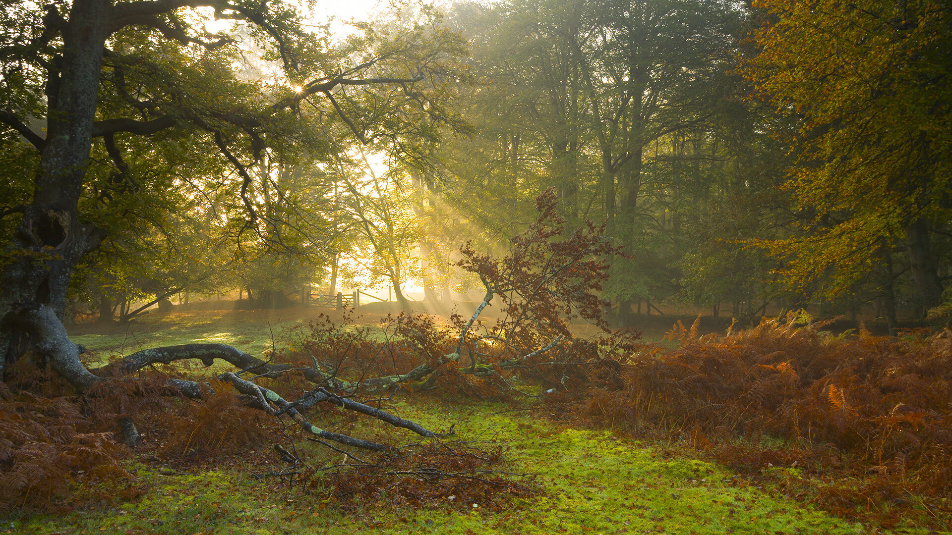 魔术师与攻城槌，卡拉斯科的欧冠之夜，将防线拆解为碎片