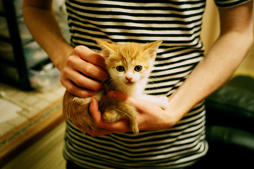 时间的两面，90分钟的闪电与104场的跋涉