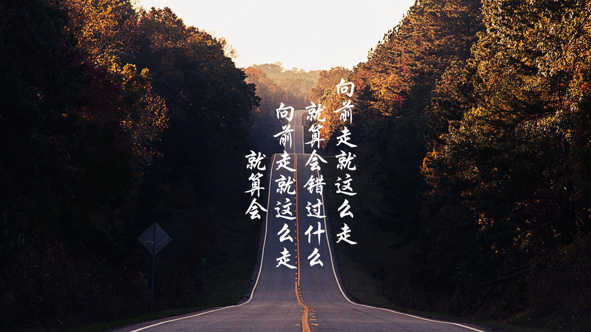 钢铁防线与燃油心跳,当金玟哉在巴林赛道接管比赛