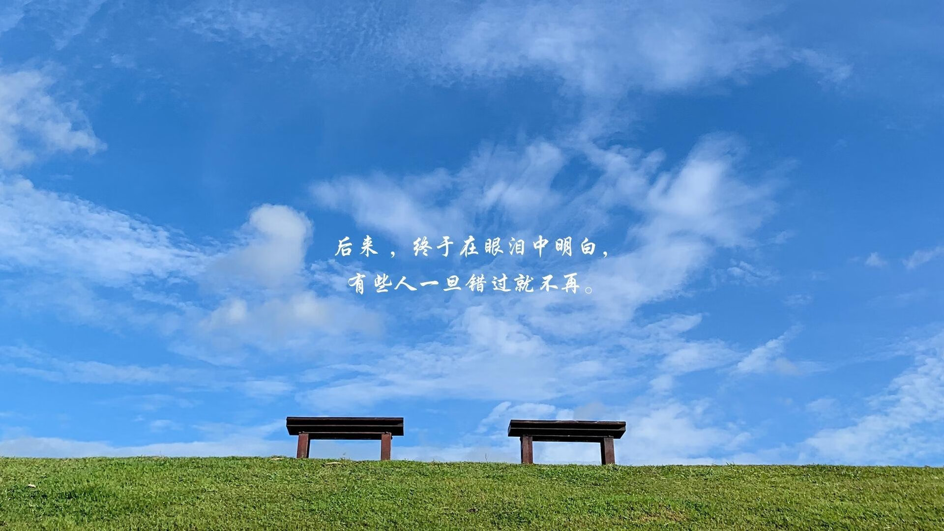 烽火连城，2026世界杯C组强强对话，智利完胜伊朗，格列兹曼的绝代风华