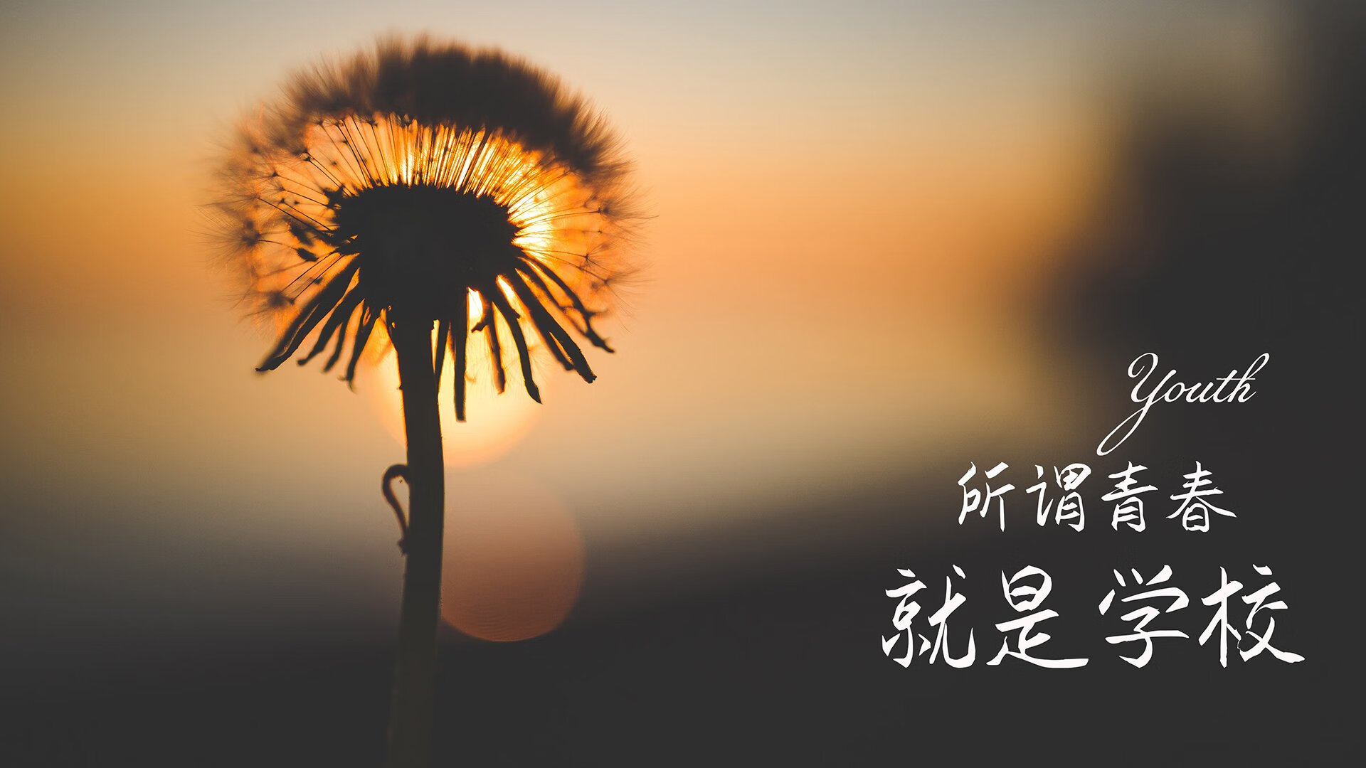 基于这个独特的设定,我们构思标题和文章