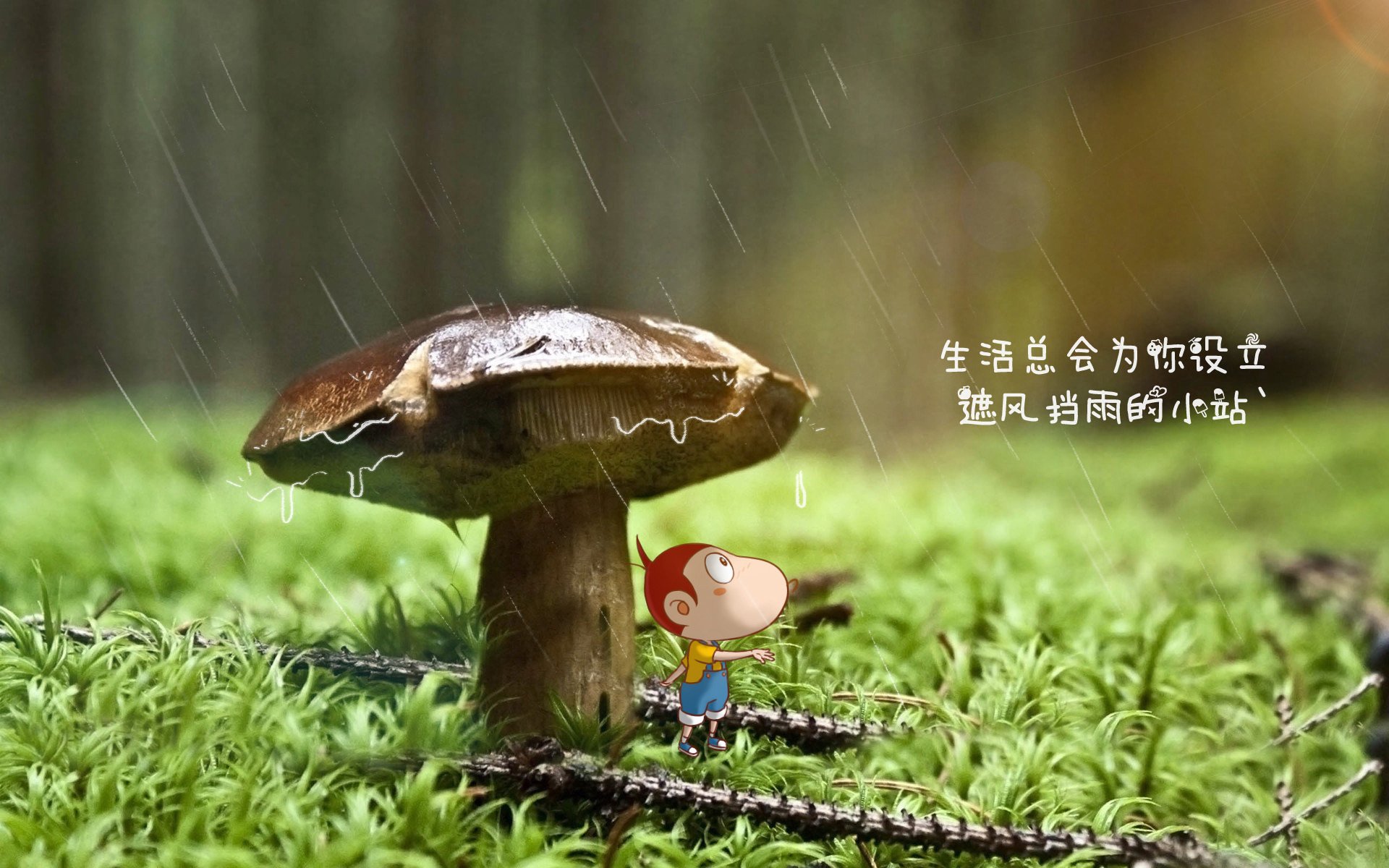 这唯一性将不局限于比赛结果,而是从一个独特的视角切入—一个亲历了这场完美风暴的韩国队替补球员的内心独白,来反衬法国队那令人窒息的强大