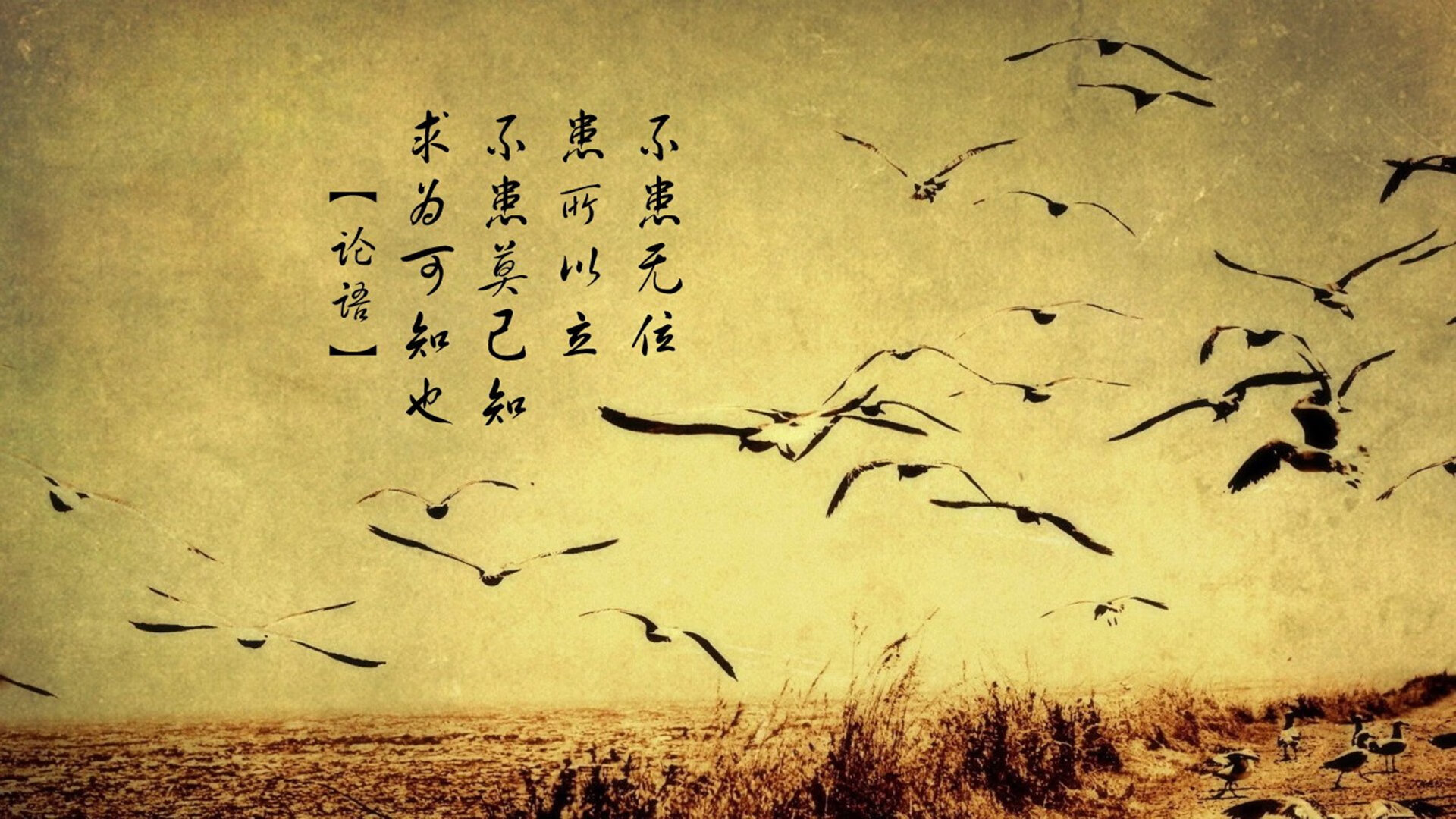 双面救赎,当太阳旗遇上桑巴舞,贝林厄姆用唯一性定义2026世界杯B组